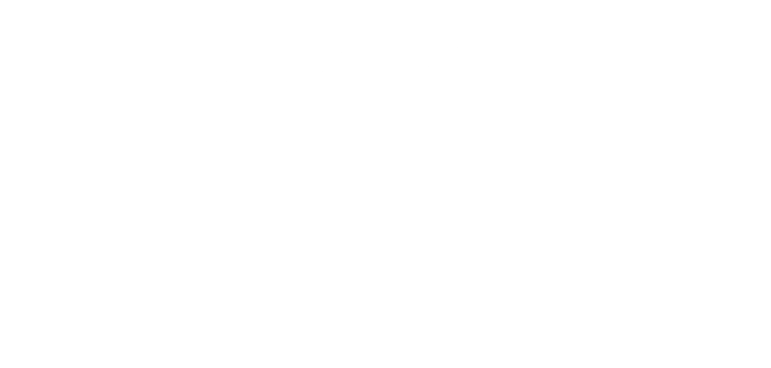 Nitro Fight Gears